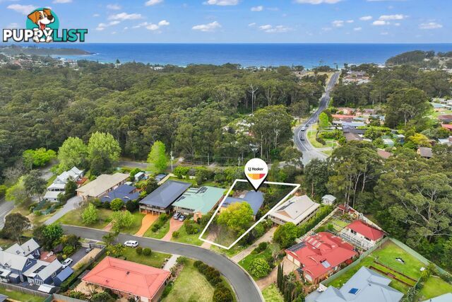 12 Molloy Street MOLLYMOOK NSW 2539