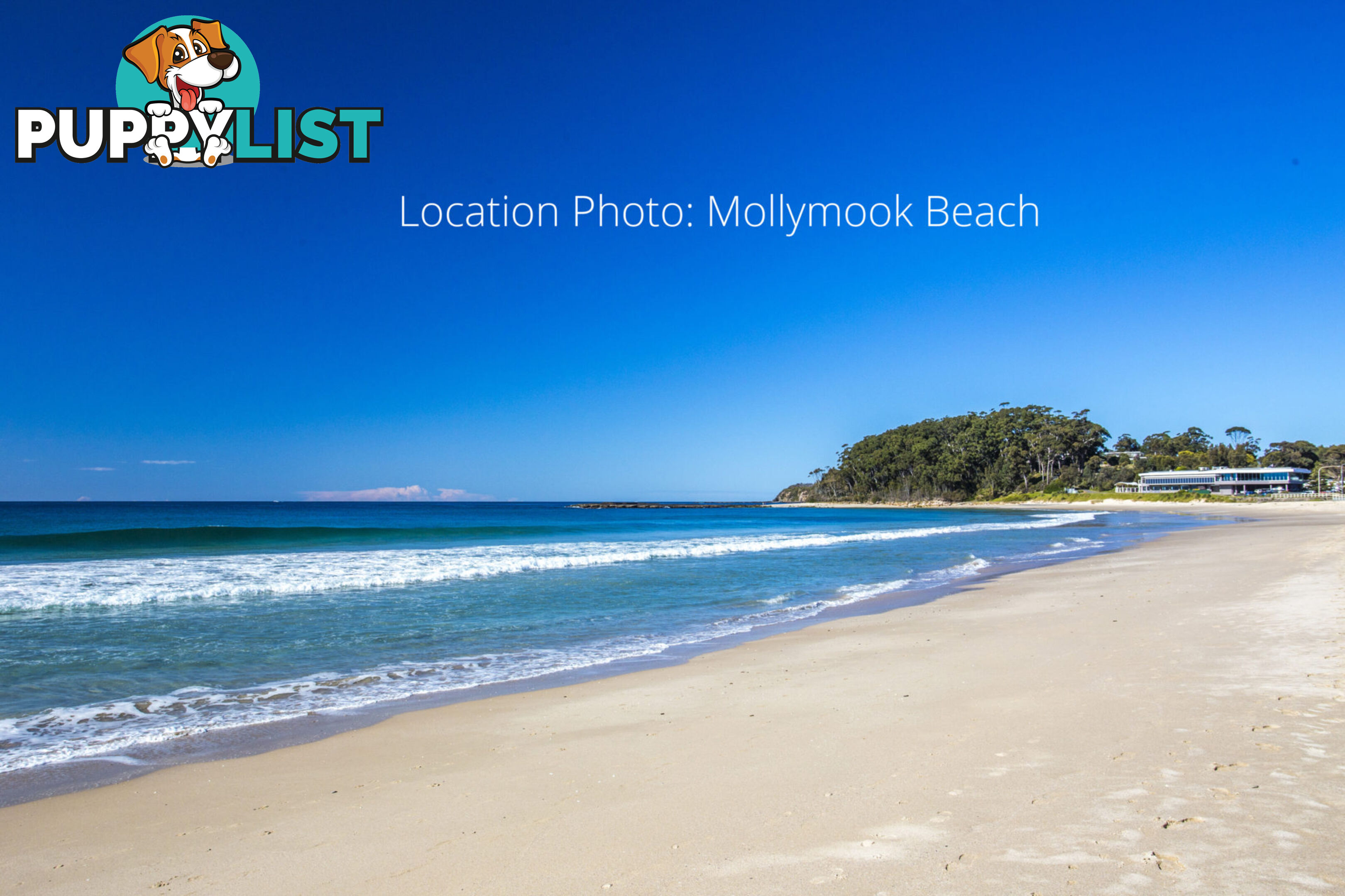 86 Tallwood Ave MOLLYMOOK NSW 2539