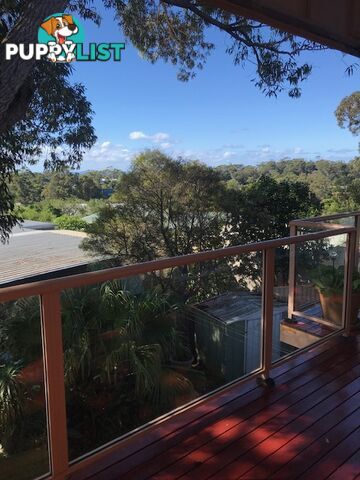 1/60 Linden Way MOLLYMOOK BEACH NSW 2539