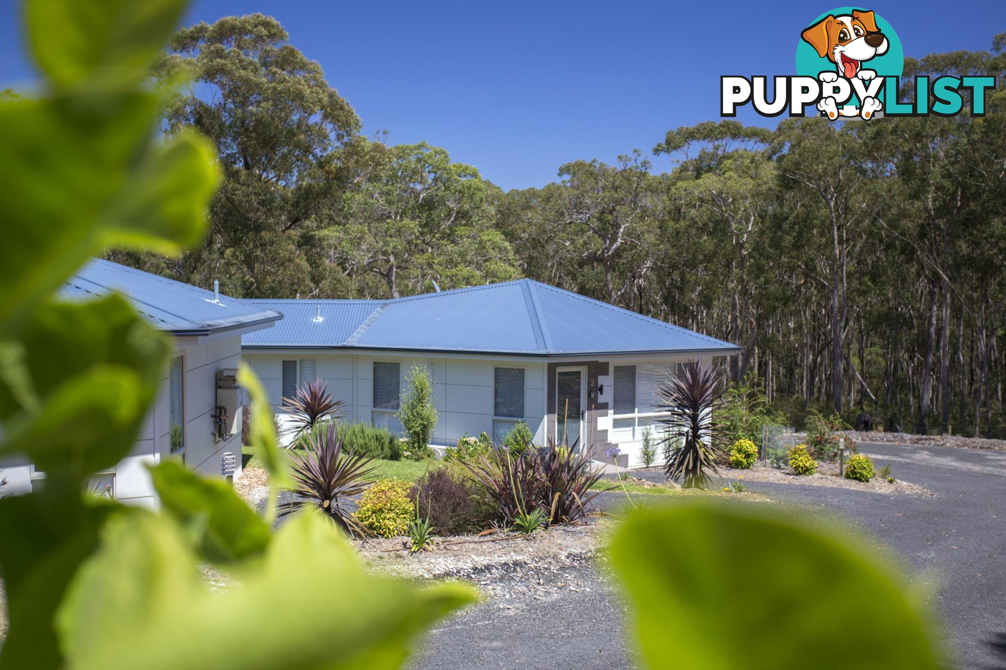 34 Pebbly Beach Road EAST LYNNE NSW 2536