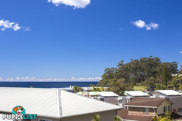 4/1 Ingold Ave MOLLYMOOK NSW 2539