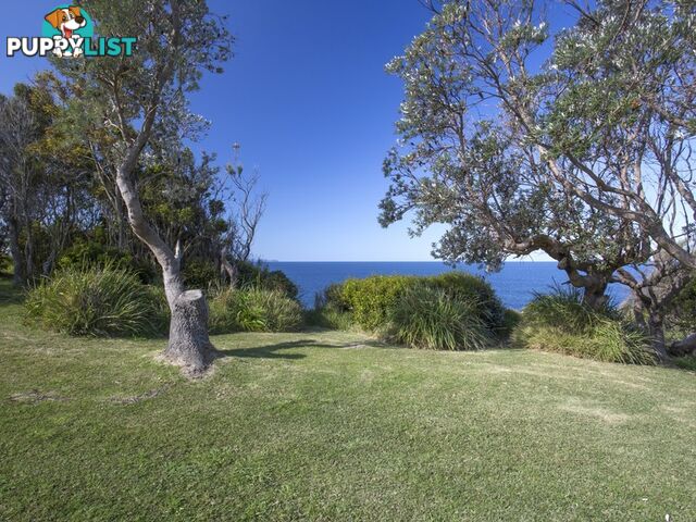 213 Mitchell Parade MOLLYMOOK NSW 2539