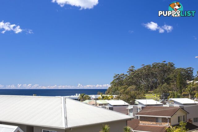 4/1 Ingold Avenue MOLLYMOOK NSW 2539