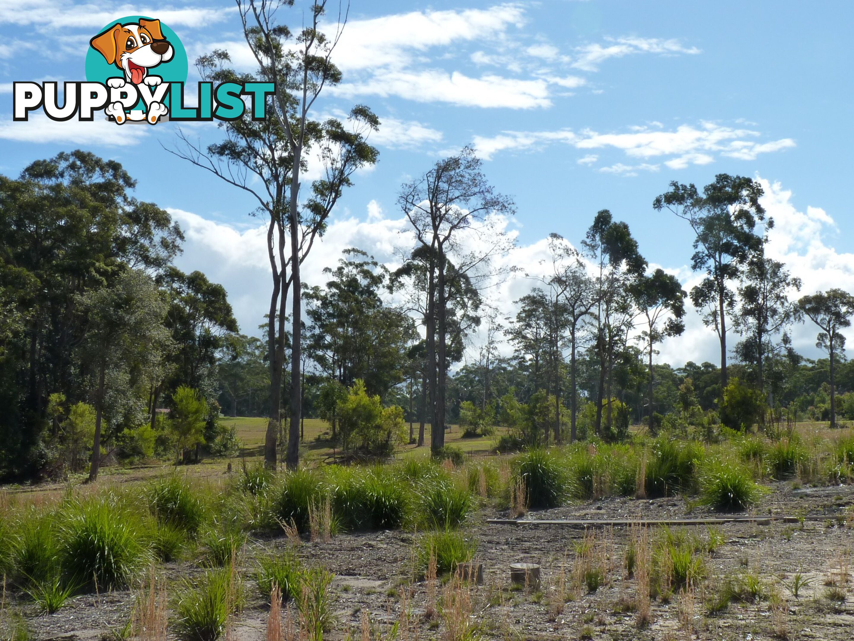 Lot 507 Red Gum Drive ULLADULLA NSW 2539