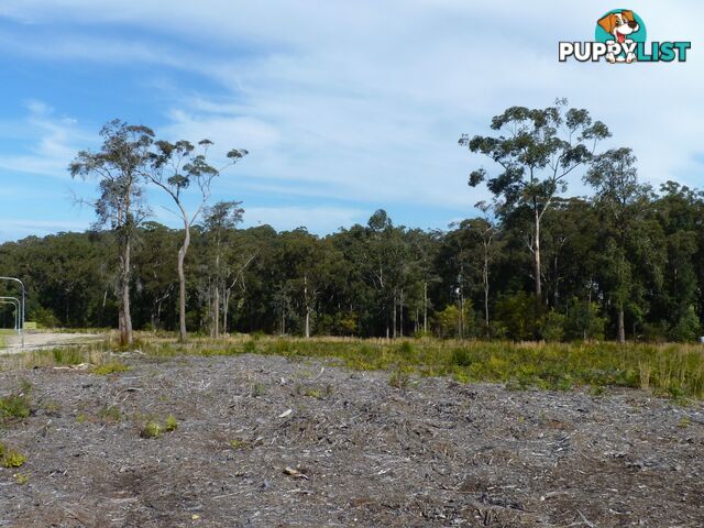 Lot 507 Red Gum Drive ULLADULLA NSW 2539