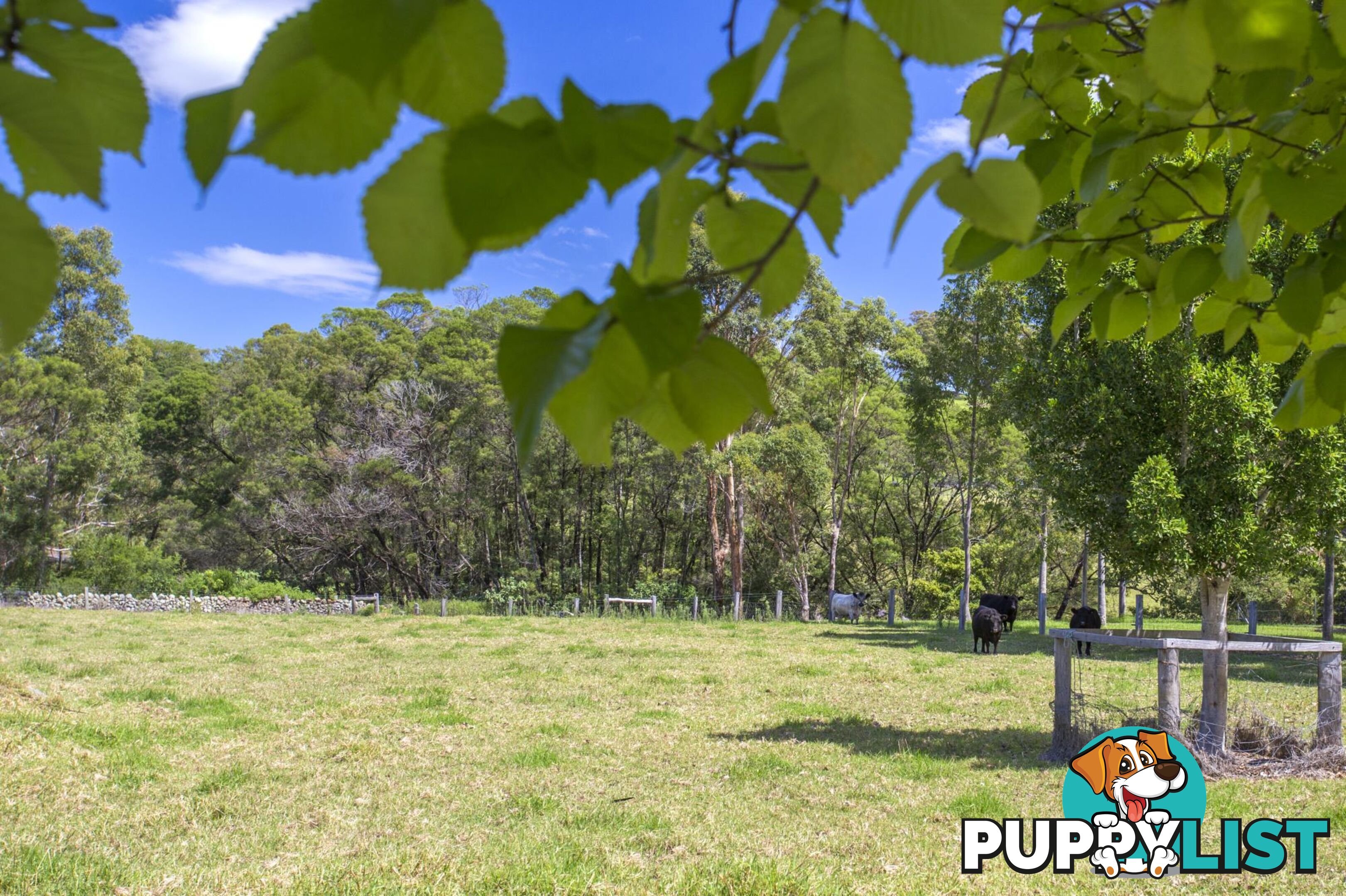 Lot 8/111 Evans Lne, Woodstock MILTON NSW 2538