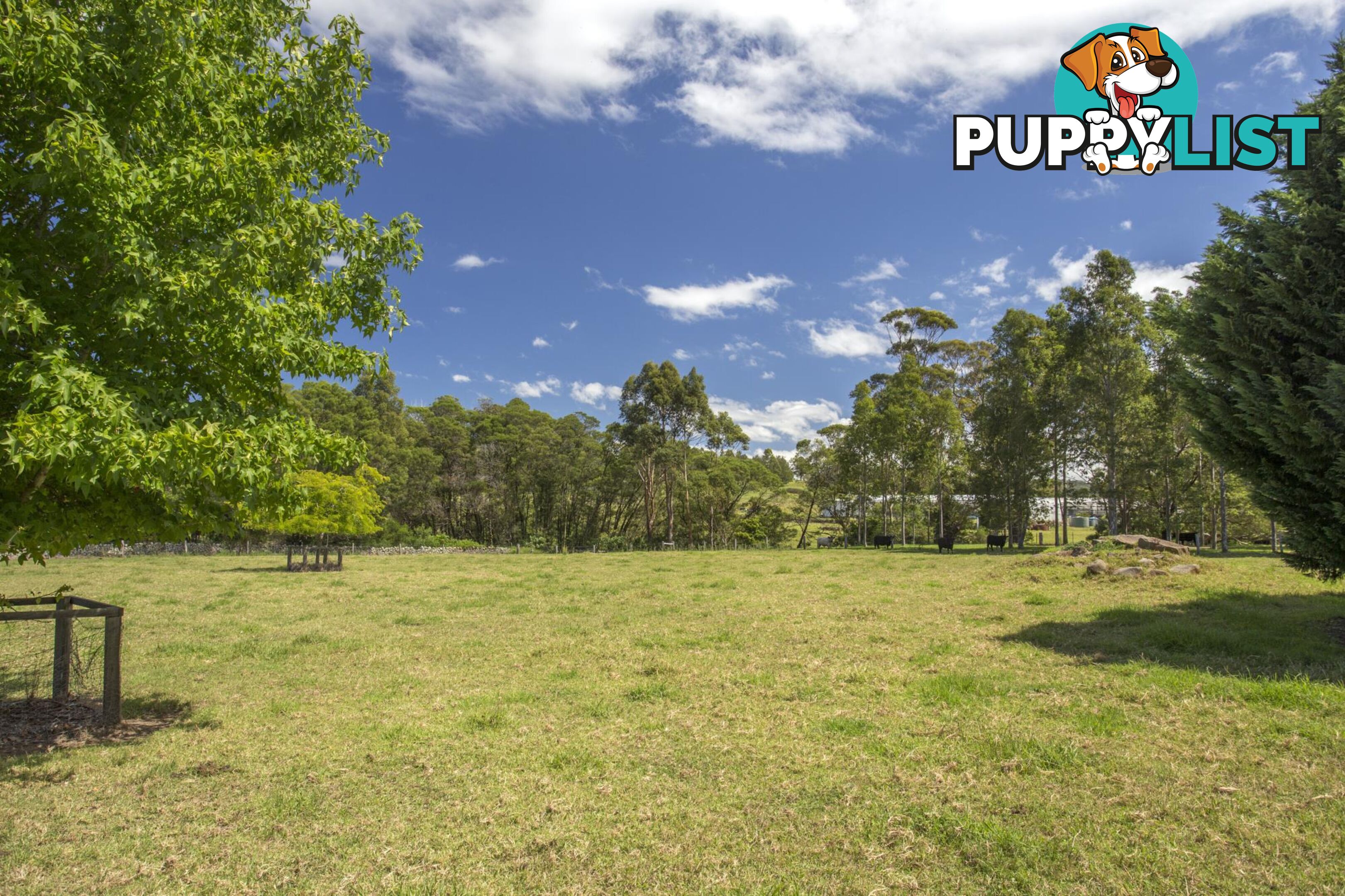 Lot 8/111 Evans Lne, Woodstock MILTON NSW 2538