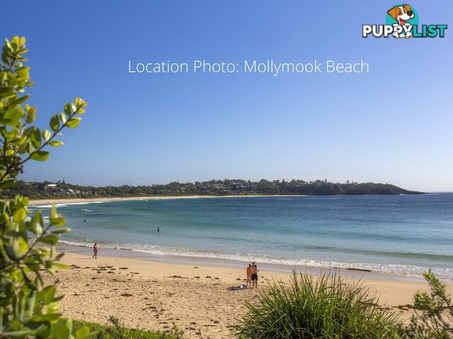 Lot 24 Cooyoyo Place ULLADULLA NSW 2539