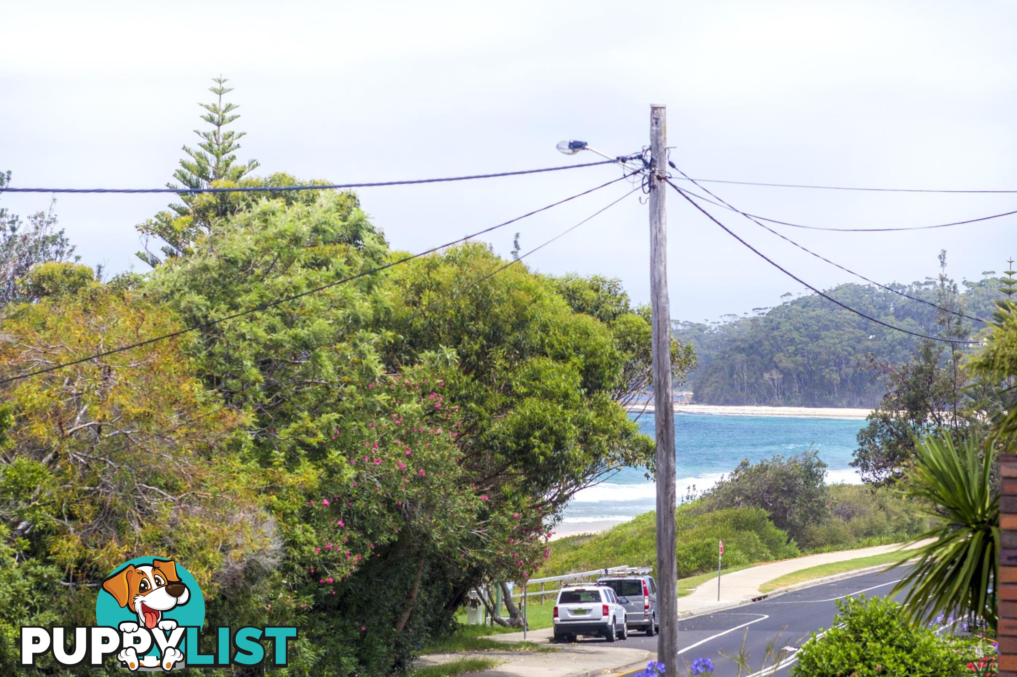 71 Mitchell Pde MOLLYMOOK NSW 2539