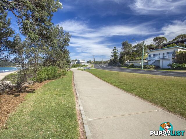 31 Mitchell Pde MOLLYMOOK NSW 2539