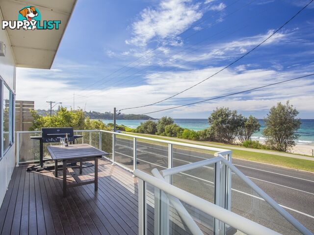 31 Mitchell Pde MOLLYMOOK NSW 2539