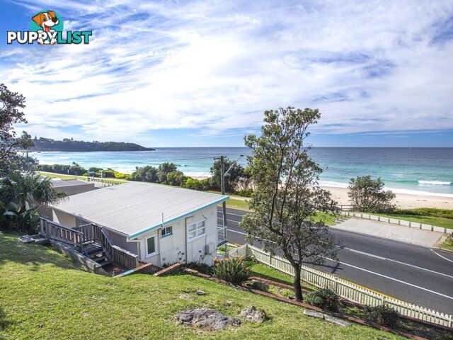 31 Mitchell Pde MOLLYMOOK NSW 2539