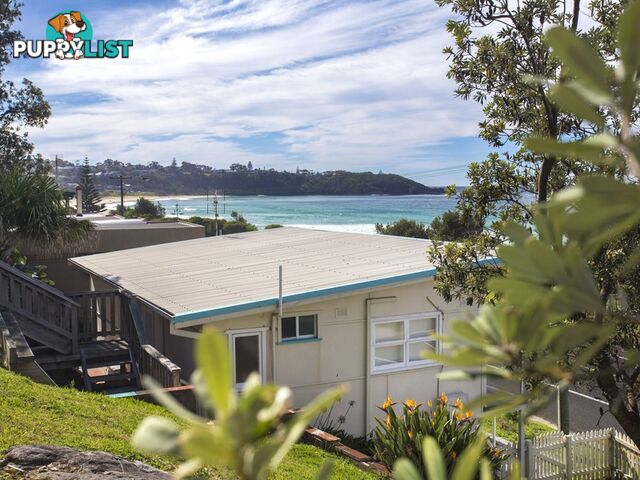 31 Mitchell Pde MOLLYMOOK NSW 2539