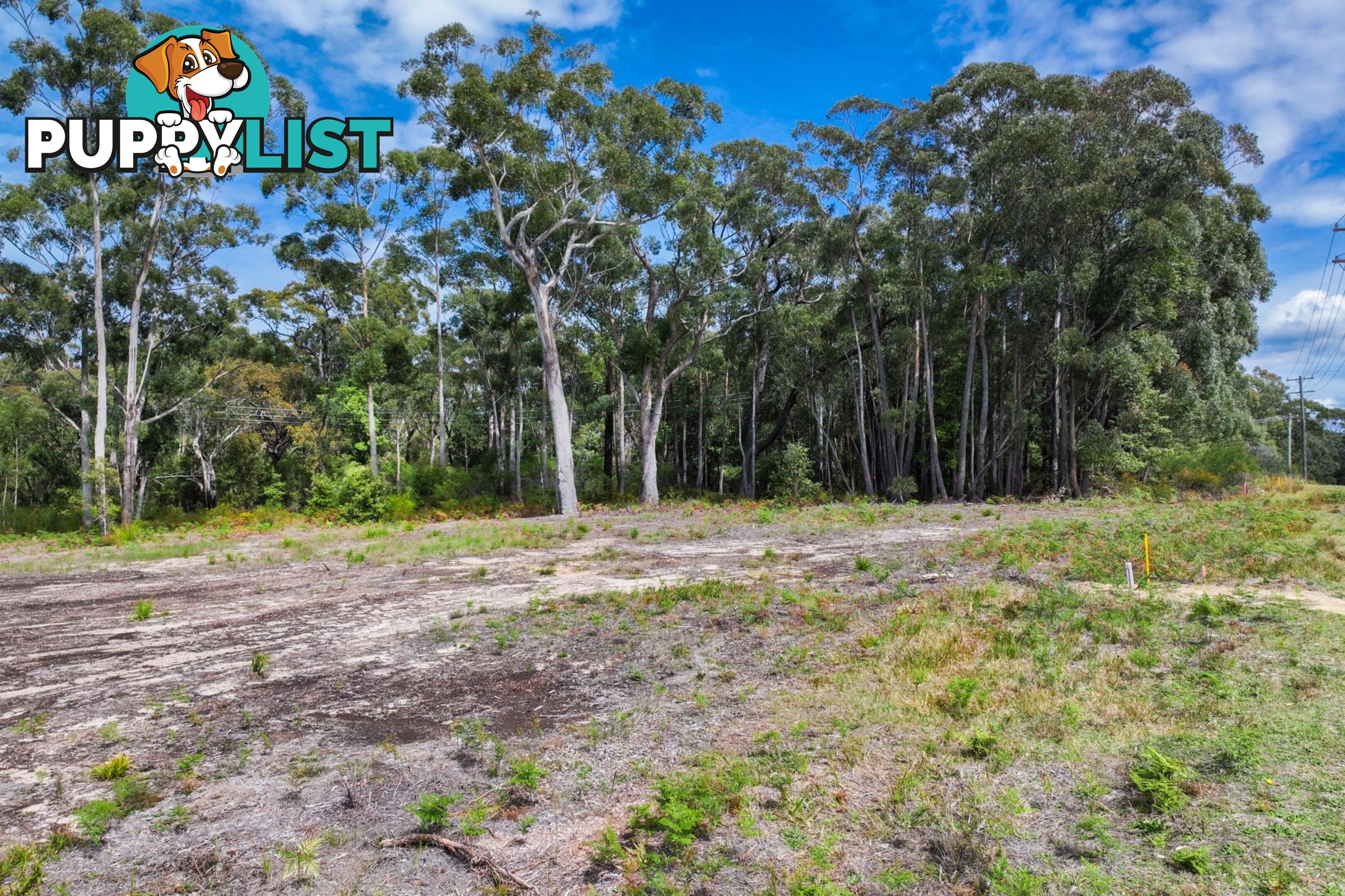 Lot 31 White Gum Road ULLADULLA NSW 2539