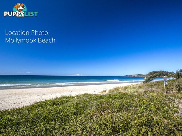 7/1A Mitchell Parade MOLLYMOOK NSW 2539